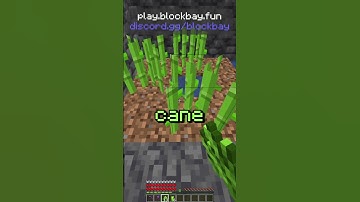 How to become the *RICHEST* person on the PUBLIC Lifesteal SMP! #shorts #gaming