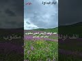 الفنان بطي البذالي الف اولف لاريش العين مكتوب