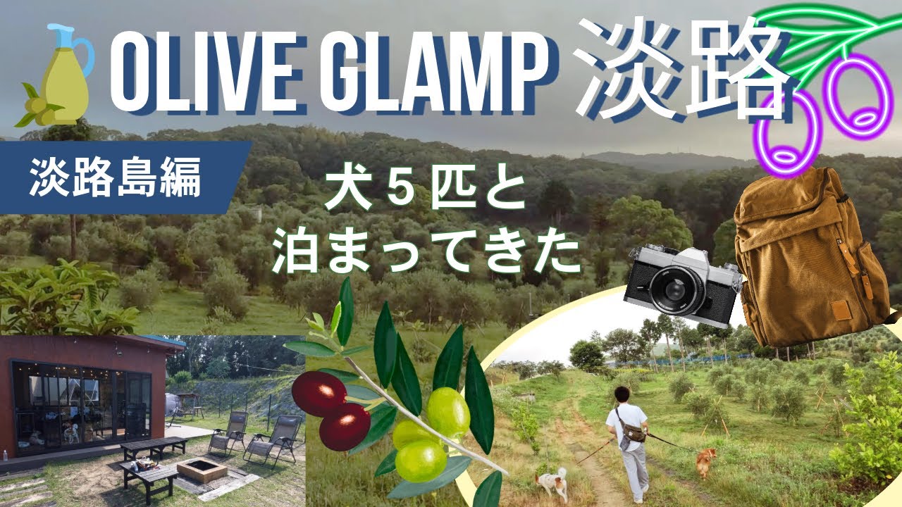 国生みの島★Olive GLAMP 淡路 VirginValley☆で犬とワイドガーデンに宿泊✨世界で入賞したオリーブオイルを堪能♪日本一の収穫量を誇る収穫祭が楽しみすぎる！10haの農園内をお散歩！