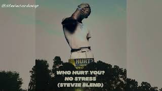 Daniel Caesar Vs WizKid - Who Hurt You? No Stress (Stevie Blend) ☀️🎵