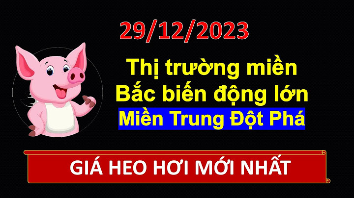 Thịt lợn hơi năm 2023 đạt sản lượng bao nhiêu