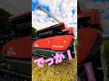Kubota DR6130 130馬力コンバインで刈り取りSTAR🏃‍♂️#kubota #harvester #harvestermachine #harvesters #combine
