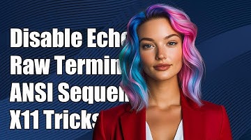 Disable Echo and Set Raw Terminal Mode with ANSI/X11 Escape Sequences