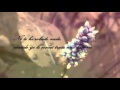 Miriam Hernandez - No Te He Robado Nada (lyrics)