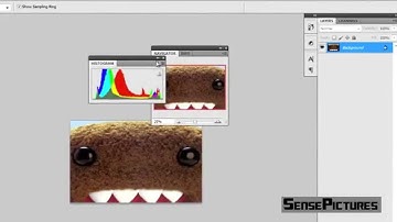 Adobe Photoshop CS5: Workspace