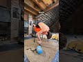 Don't Touch The Ground 👀