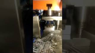 Power press blank feeder