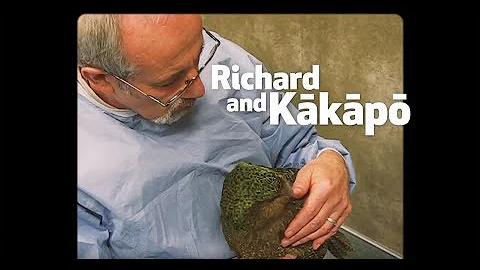 Richard's Wild Work for kkp!