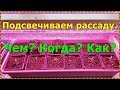 Подсвечиваем рассаду  Чем Когда Как