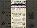 Excel Formulas Explained: VLOOKUP, FILTER, &amp; INDEX-MATCH | Search More Than