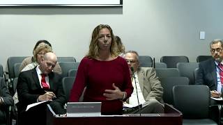 Legislative and Strategic Planning Committee - 01-29-18