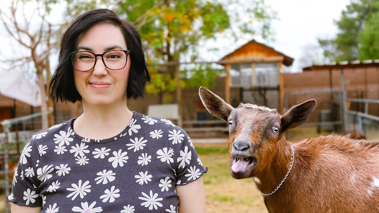 I wish I would have NEVER done this!