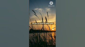 سورة المنافقين #القرآن_الكريم #quran @FahdBensaif