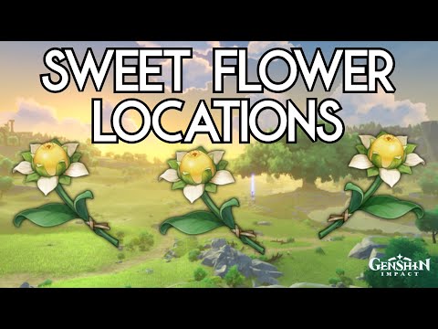 Sweet Flower Locations | Genshin Impact