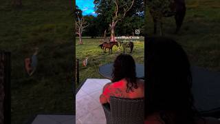 Life at Luxury Private Island in Vanuatu. Lataro Island Offers Many Surprises ✨