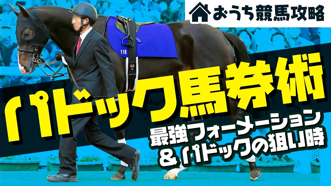 パドックの見方 パドック特化の最強フォーメーション パドックが活きる4つの条件 競馬予想 Youtube パドックの見方 パドック特化の最強フォーメーション パドックが活きる4つの条件 競馬予想 Youtube