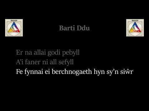 Barti Ddu – Bwncath