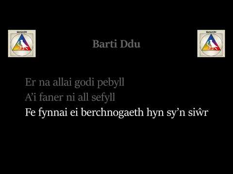 Barti Ddu
