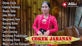 FULL ALBUM CAMPURSARI COKEK JARANAN SLENDRO JAIPONG GLER (4) [] SRIKANDHI [] AGLI MUSIK PRODUCTION
