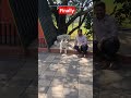 #huskydog #husky dance #ELAGIRI HILLS #TRENDING TAMIL SONGS MUSICS #RAPIDMINDS TAMIL #RAGAVAGIRI