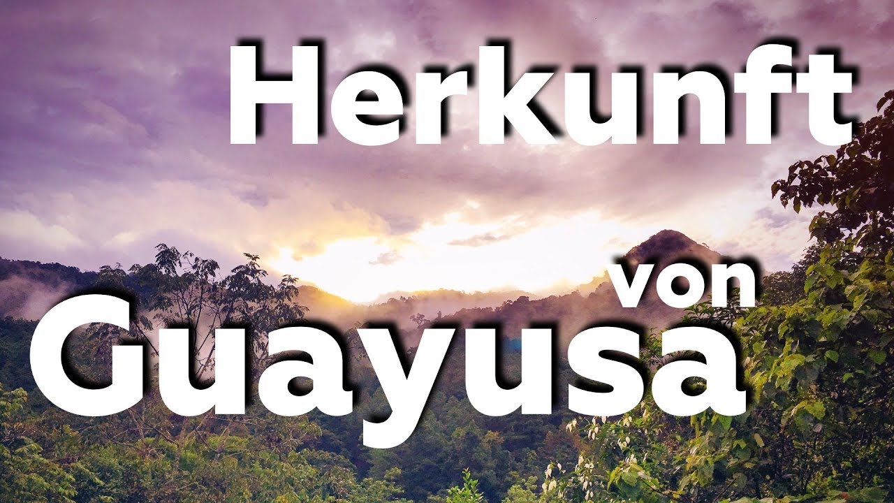 Herkunft Von Guayusa Tee - Herkunft, Anbau, Tradition von Guayusa