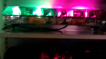 Code 3 - MX 7000 (36") green/magenta