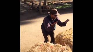 Escaping A Fight In The Wild West - Vine