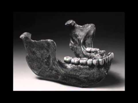 Video: Pithecanthropus. Menneskelig Stamfar? Nye Funn - Alternativ Visning