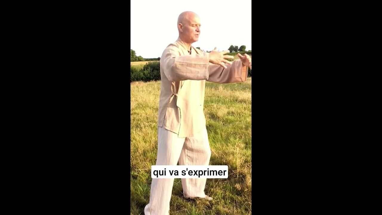 Extrait du parcours Qi Gong Soie-Zen : Harmoniser la respiration et la relaxation