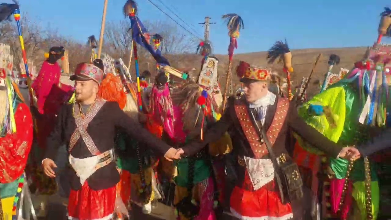 Malanca de la Harmanestii-Vechi 2023-2024👺💥💥💯💣