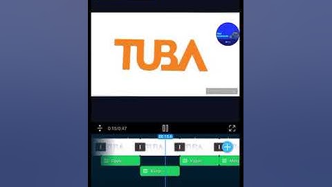 Larva intro Effects (powerdirector version)