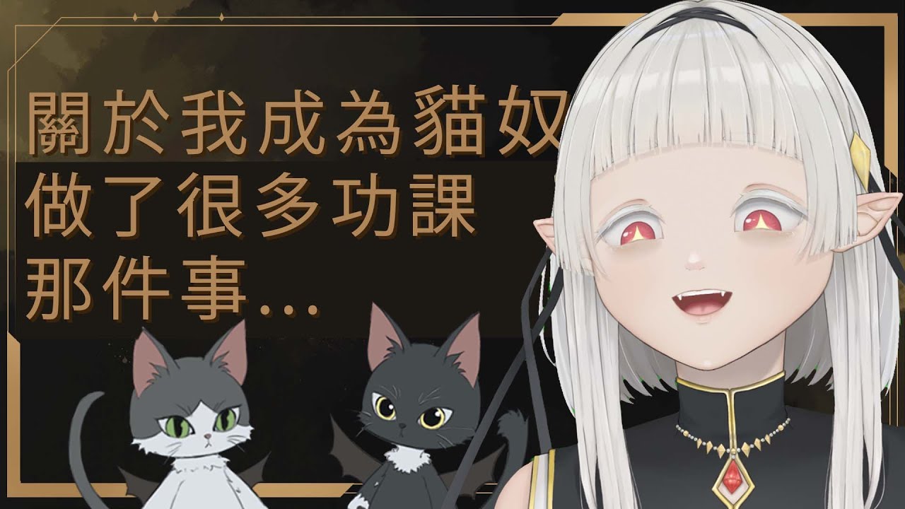 【雜談】久等啦！貓咪雜談！新手養貓到底要知道些什麼？ ☾ Nana.C 娜娜希 | MYViki