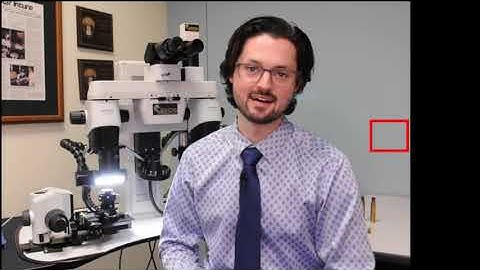 Leeds Helpful Tips | Ergonomic Setup of the LCF3 & Discovery Comparison Microscopes