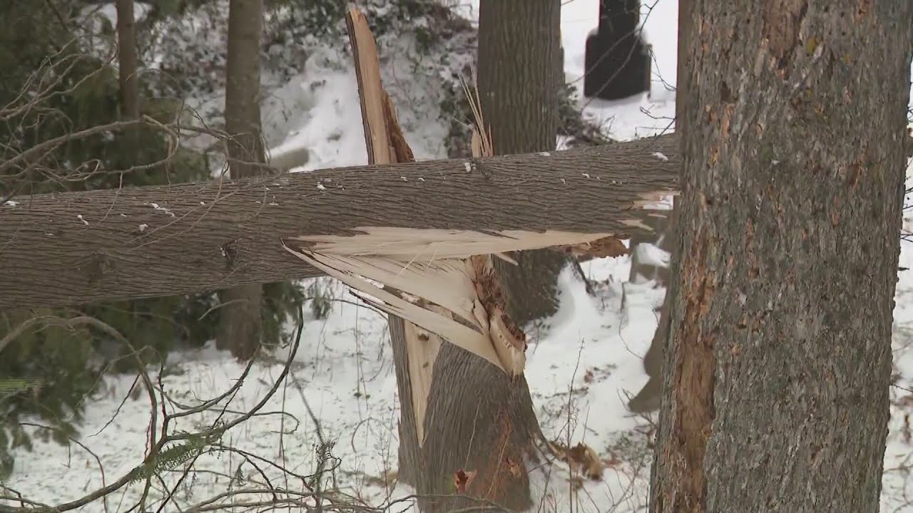 Latest winter storm leaves thousands in northeast Wisconsin without ...