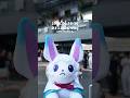 【Vlog】京まふ2026 Vlog with フォウくん