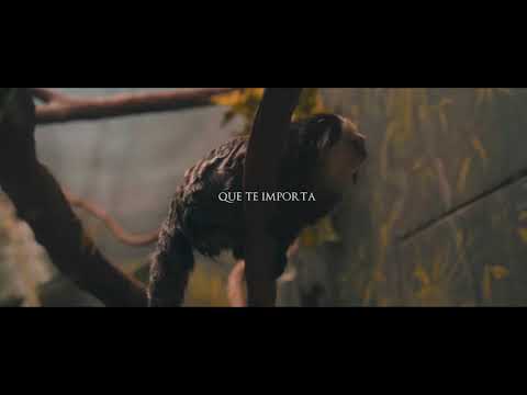 BITIA OLALLA SABER QUE ME AMAS 2020 Versión En Estudio 