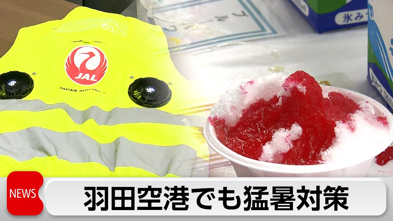Japan Airlines unveils new work uniforms to combat the heatwave