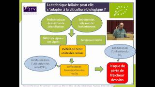 Actualités sur les pulvérisations azotées foliaires par Thierry Dufourcq (IFV Sud-Ouest)