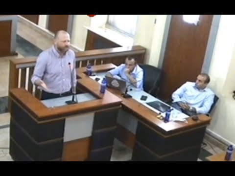 ზურაბ გირჩი ჯაფარიძის - \"სიტყვა საკონსტიტუციოში კვოტირების წინააღმდეგ\"