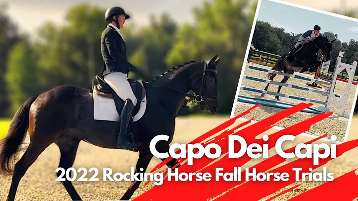 Capo dei Capi (Open Training | 2022 Rocking Horse Fall Horse Trials)
