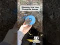 Your Homes Hidden Water Switch A Guide to Curb Stops and Water Line Care