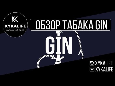 Замена Daily Hookah?/Обзор табака GIN