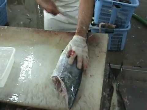 How to Fillet a Fish (Mahi Mahi for Sushi) / How to Clean a Fish