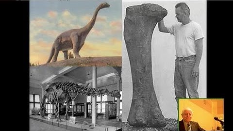 Last Lecture: From Dinosaurs to Chocolate: Taking the Road Less Traveled