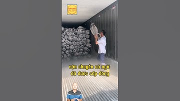 giỡ cá ngừ cấp đông trong container 😱🐠🚚| video triệu view #cá_ngừ #cá_cấp_đông