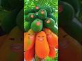Alifun Baa Taun Saa Islamic Naat Cute Islamicshorts Gojol Love Cats Fruit Alifun Baa Taun Saa Islamic Naat Cute Islamicshorts Gojol Love Cats Fruit