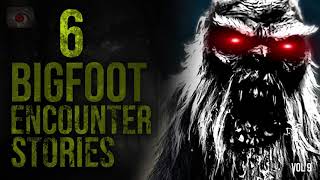 KIDNAPPED BY BIGFOOT - 6 SCARY STORIES OF BIGFOOT SIGHTINGS