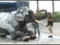 Bathtime for Bo