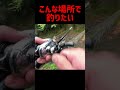 どんな場所で釣りたい？【バス釣り】