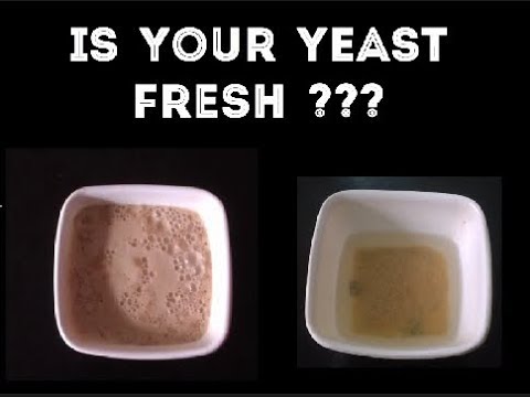 How to find Active yeast & Dead yeast| Yeast is fresh???| how to find